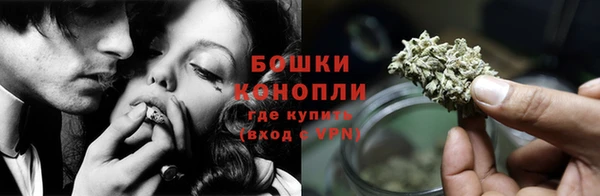 тгк Бронницы
