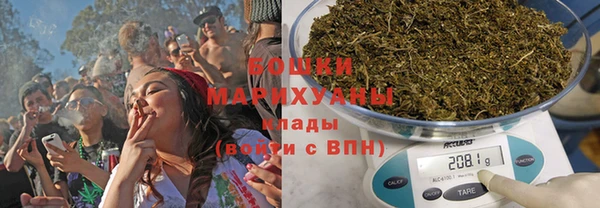 тгк Бронницы