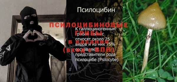 тгк Бронницы