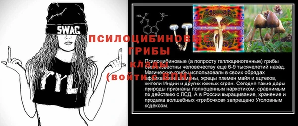 тгк Бронницы
